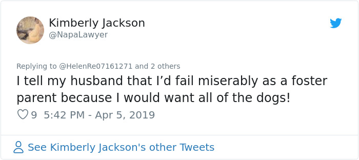 Patrick Stewart Has A New Foster Dog And Their Bond Is Adorable