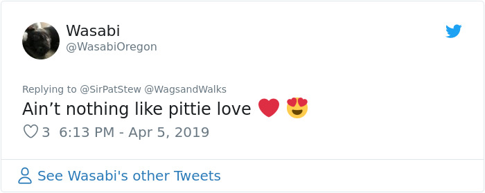 Patrick Stewart Has A New Foster Dog And Their Bond Is Adorable Patrick Stewart Has A New Foster Dog And Their Bond Is Adorable