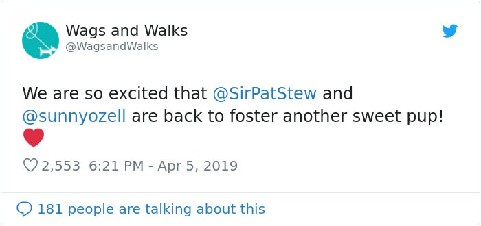 Patrick Stewart Has A New Foster Dog And Their Bond Is Adorable
