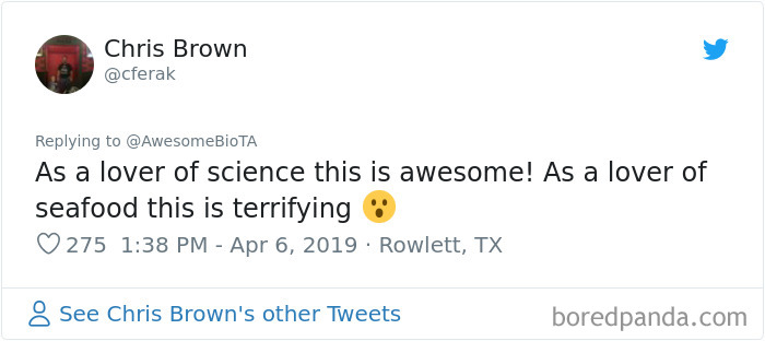 Biologist Exposes Sushi Restaurants For False Labels For Their Ingredients