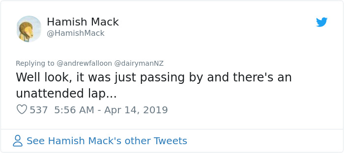 Man Recovering From Surgery Wakes Up To A Stranger Cat Cuddling Him