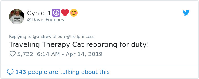 Man Recovering From Surgery Wakes Up To A Stranger Cat Cuddling Him