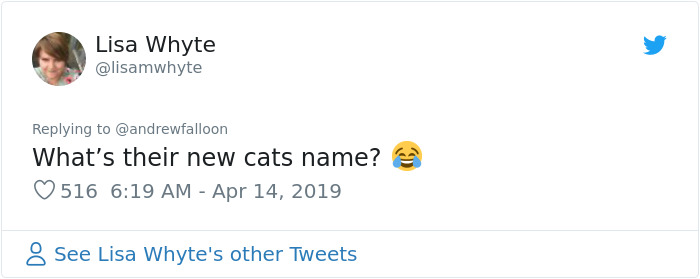 Man Recovering From Surgery Wakes Up To A Stranger Cat Cuddling Him Man Recovering From Surgery Wakes Up To A Stranger Cat Cuddling Him