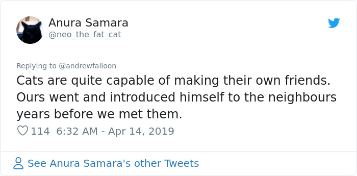 Man Recovering From Surgery Wakes Up To A Stranger Cat Cuddling Him