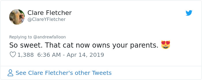 Man Recovering From Surgery Wakes Up To A Stranger Cat Cuddling Him Man Recovering From Surgery Wakes Up To A Stranger Cat Cuddling Him