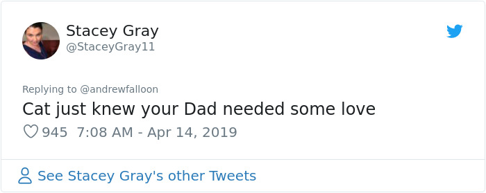 Man Recovering From Surgery Wakes Up To A Stranger Cat Cuddling Him