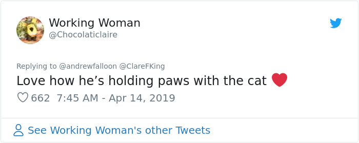 Man Recovering From Surgery Wakes Up To A Stranger Cat Cuddling Him