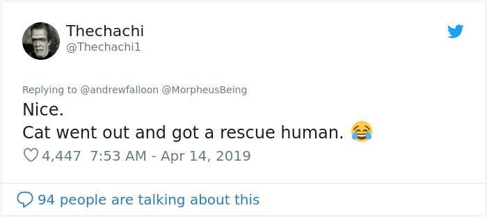 Man Recovering From Surgery Wakes Up To A Stranger Cat Cuddling Him Man Recovering From Surgery Wakes Up To A Stranger Cat Cuddling Him