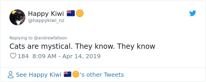 Man Recovering From Surgery Wakes Up To A Stranger Cat Cuddling Him Man Recovering From Surgery Wakes Up To A Stranger Cat Cuddling Him