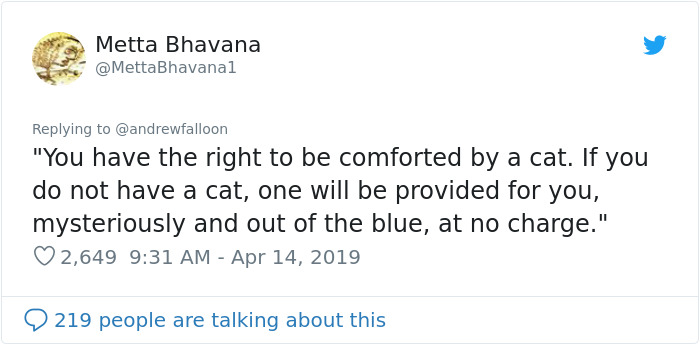 Man Recovering From Surgery Wakes Up To A Stranger Cat Cuddling Him