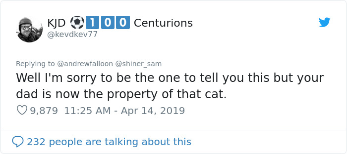 Man Recovering From Surgery Wakes Up To A Stranger Cat Cuddling Him