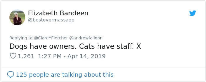 Man Recovering From Surgery Wakes Up To A Stranger Cat Cuddling Him Man Recovering From Surgery Wakes Up To A Stranger Cat Cuddling Him