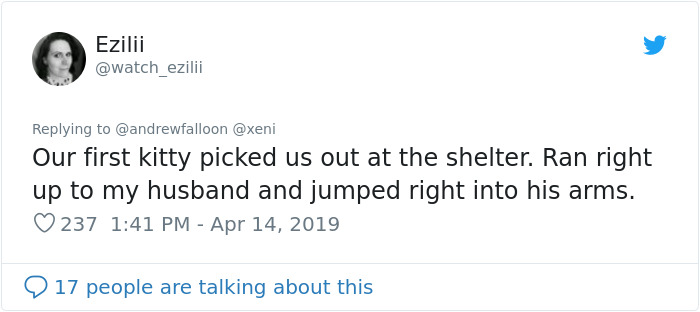 Man Recovering From Surgery Wakes Up To A Stranger Cat Cuddling Him Man Recovering From Surgery Wakes Up To A Stranger Cat Cuddling Him