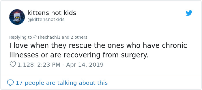 Man Recovering From Surgery Wakes Up To A Stranger Cat Cuddling Him