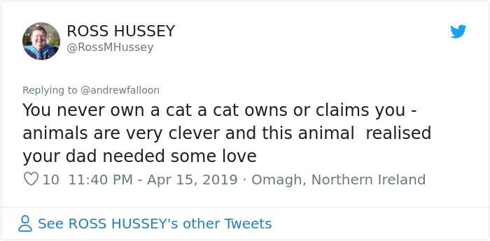 Man Recovering From Surgery Wakes Up To A Stranger Cat Cuddling Him Man Recovering From Surgery Wakes Up To A Stranger Cat Cuddling Him