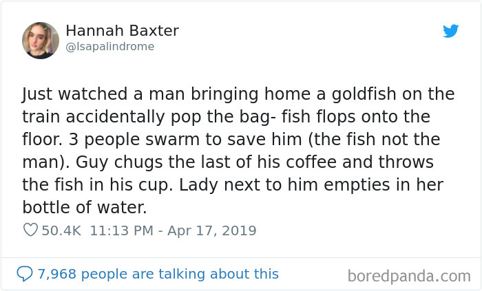 Hilarious-Woman-Tweets