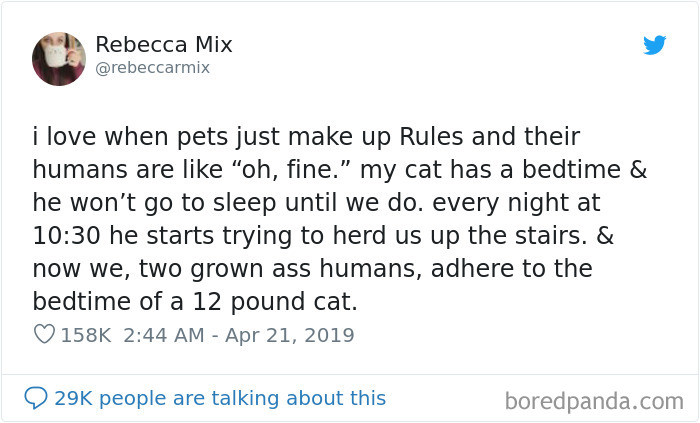 Hilarious-Woman-Tweets