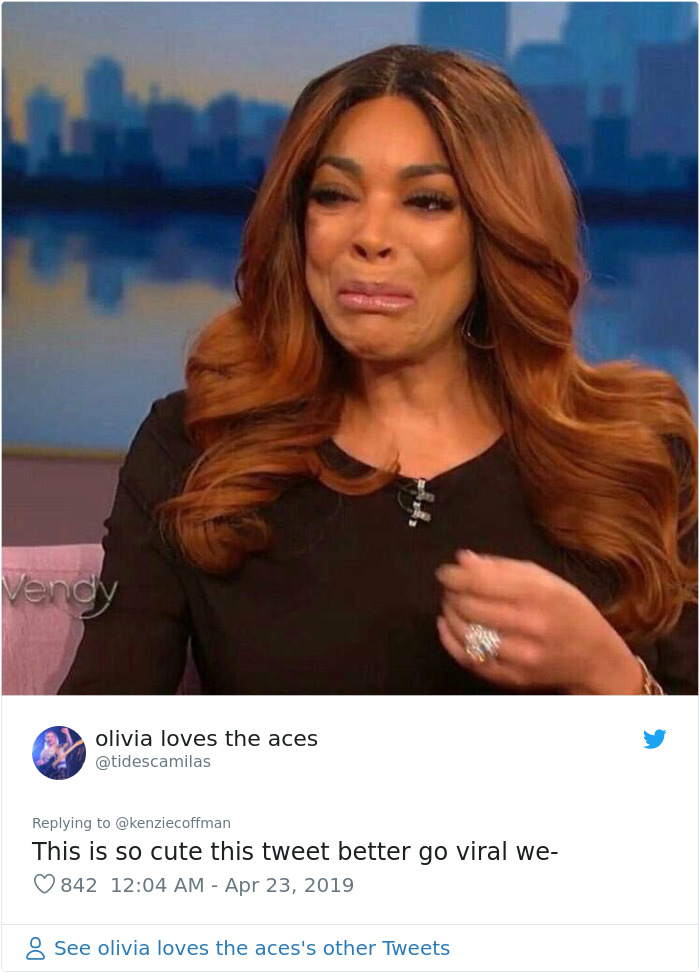 These Two Cats Fell In Love After Seeing Each Other Through Windows, Their Owners Make Sure They Get A Date These Two Cats Fell In Love After Seeing Each Other Through Windows, Their Owners Make Sure They Get A Date