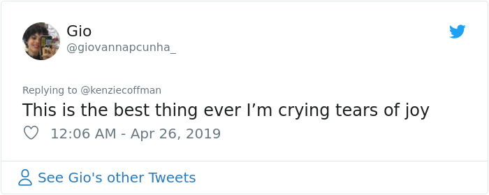 These Two Cats Fell In Love After Seeing Each Other Through Windows, Their Owners Make Sure They Get A Date