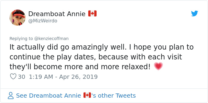 These Two Cats Fell In Love After Seeing Each Other Through Windows, Their Owners Make Sure They Get A Date These Two Cats Fell In Love After Seeing Each Other Through Windows, Their Owners Make Sure They Get A Date