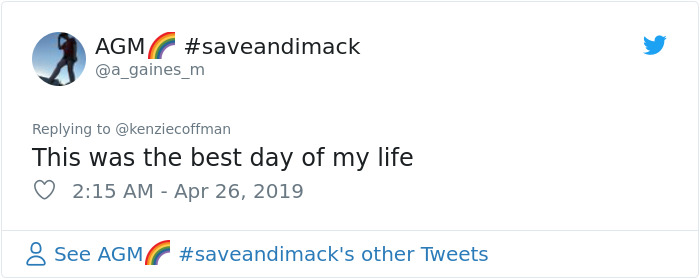 These Two Cats Fell In Love After Seeing Each Other Through Windows, Their Owners Make Sure They Get A Date These Two Cats Fell In Love After Seeing Each Other Through Windows, Their Owners Make Sure They Get A Date