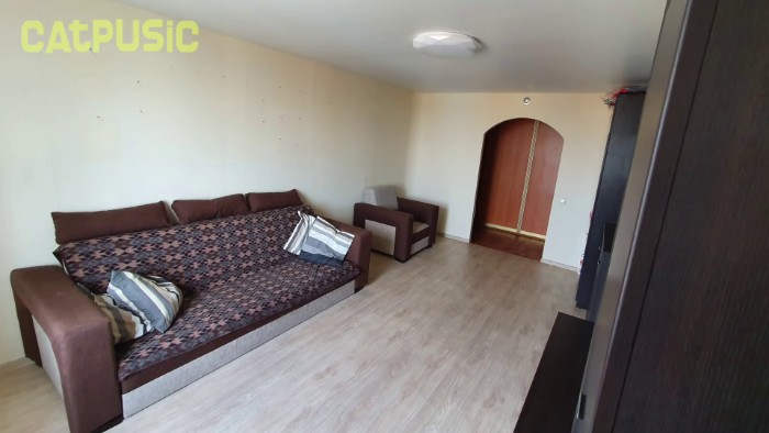 Video Of Cat Going Crazy In A Room Full Of Toilet Paper Goes Viral Video Of Cat Going Crazy In A Room Full Of Toilet Paper Goes Viral