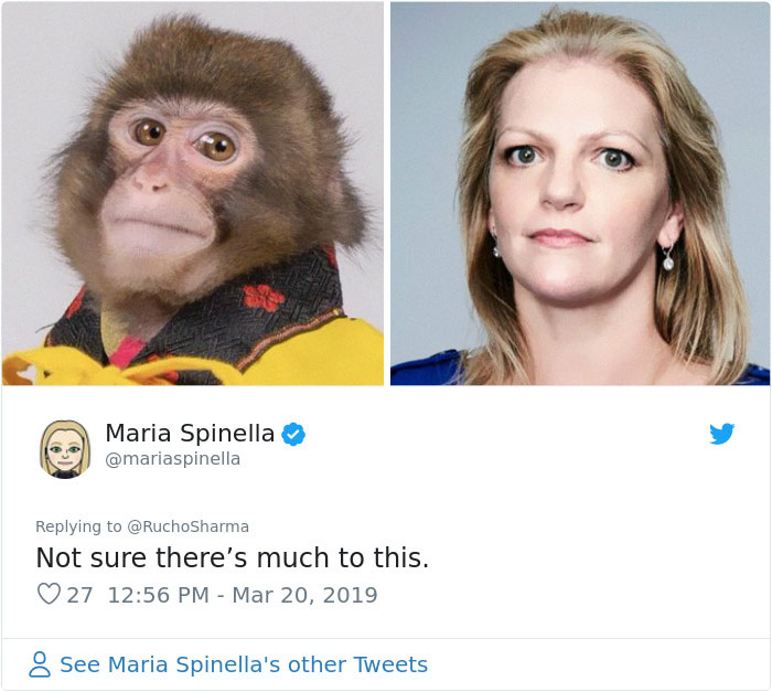 Someone Realizes This Monkey Looks Like Every Journalist And Real Journalists Confirm With 24 Pics Someone Realizes This Monkey Looks Like Every Journalist And Real Journalists Confirm With 24 Pics