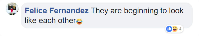 Duckling Gets Raised By An Owl And The Photos Are Adorable