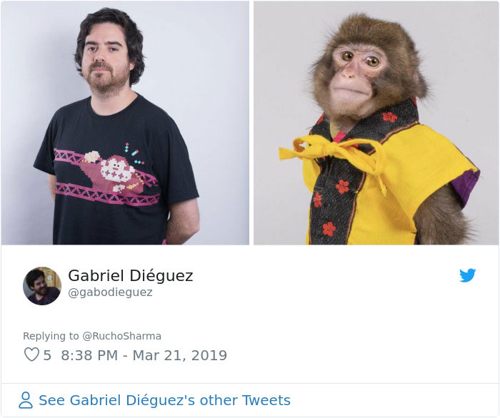 Someone Realizes This Monkey Looks Like Every Journalist And Real Journalists Confirm With 24 Pics Someone Realizes This Monkey Looks Like Every Journalist And Real Journalists Confirm With 24 Pics