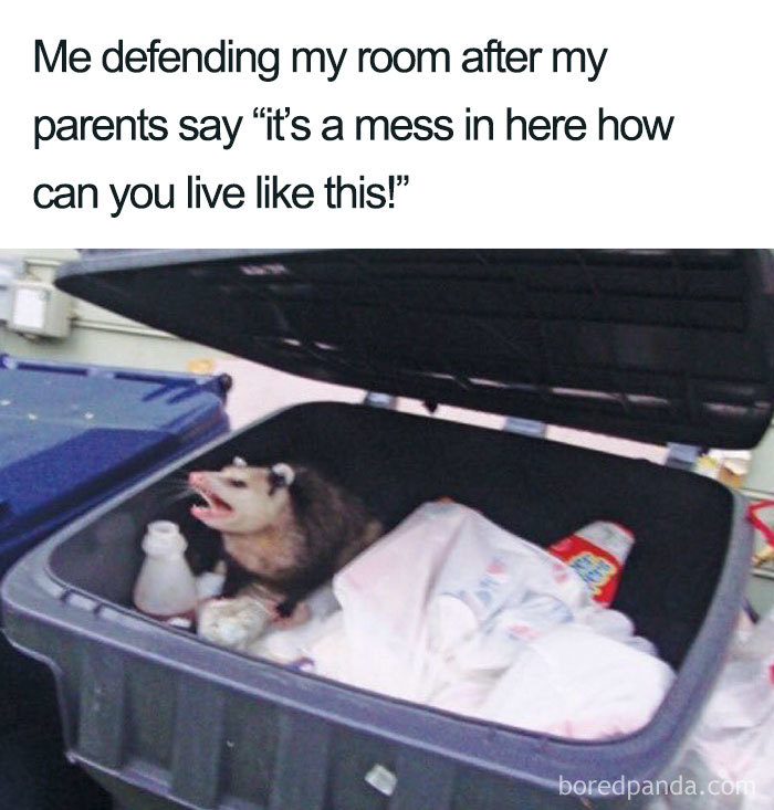 Possum in a trash bin, illustrating a cleaning meme about messy rooms and parental comments.