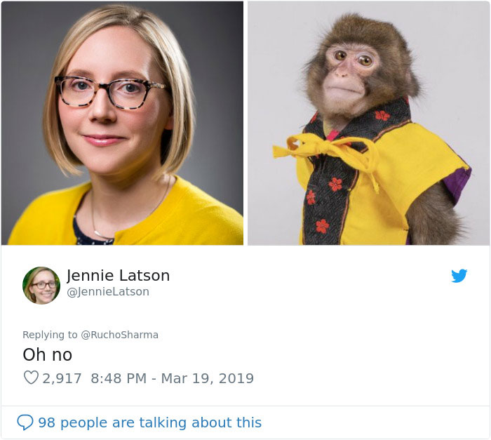Someone Realizes This Monkey Looks Like Every Journalist And Real Journalists Confirm With 24 Pics Someone Realizes This Monkey Looks Like Every Journalist And Real Journalists Confirm With 24 Pics