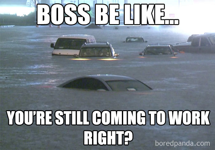 Flooded street with cars submerged, captioned "Boss be like... you're still coming to work right?" Funniest boss meme.