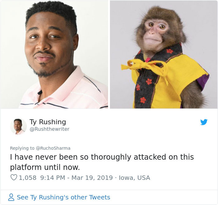 Someone Realizes This Monkey Looks Like Every Journalist And Real Journalists Confirm With 24 Pics