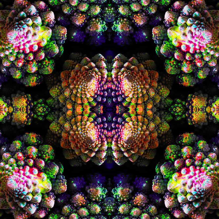 A Painted Romanesco Caulliflower - At Home