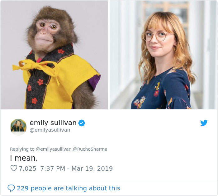 Someone Realizes This Monkey Looks Like Every Journalist And Real Journalists Confirm With 24 Pics