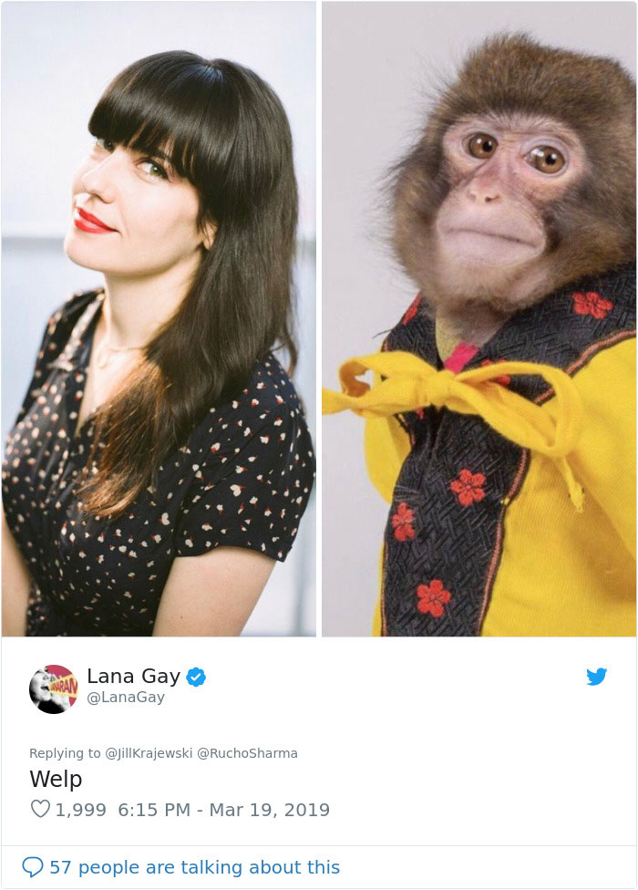 Someone Realizes This Monkey Looks Like Every Journalist And Real Journalists Confirm With 24 Pics Someone Realizes This Monkey Looks Like Every Journalist And Real Journalists Confirm With 24 Pics