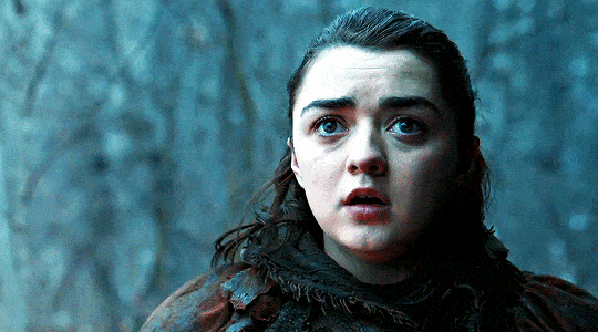 Fans Uncover All The Hidden Hints That Led To THAT Arya Twist