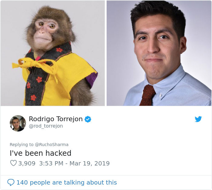 Someone Realizes This Monkey Looks Like Every Journalist And Real Journalists Confirm With 24 Pics