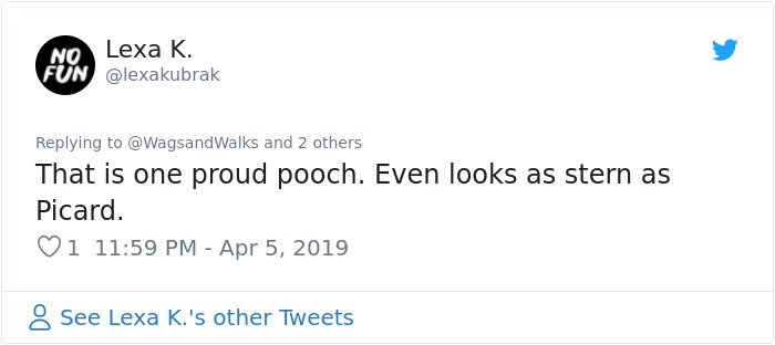 Patrick Stewart Has A New Foster Dog And Their Bond Is Adorable Patrick Stewart Has A New Foster Dog And Their Bond Is Adorable