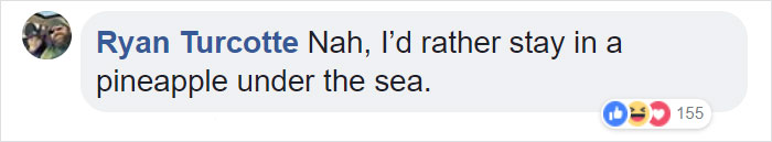 This $200 A Night Potato Airbnb Is A Dream For Potato Lovers And A Nightmare For Claustrophobics