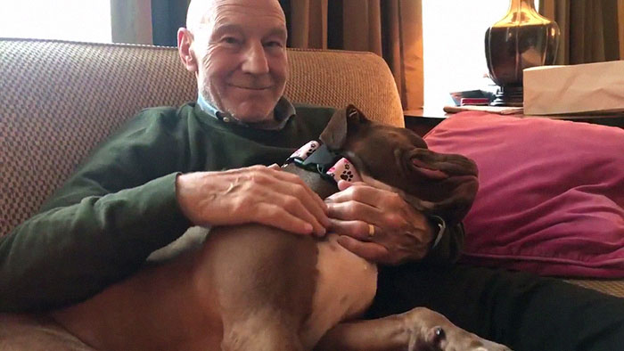 Patrick Stewart Has A New Foster Dog And Their Bond Is Adorable