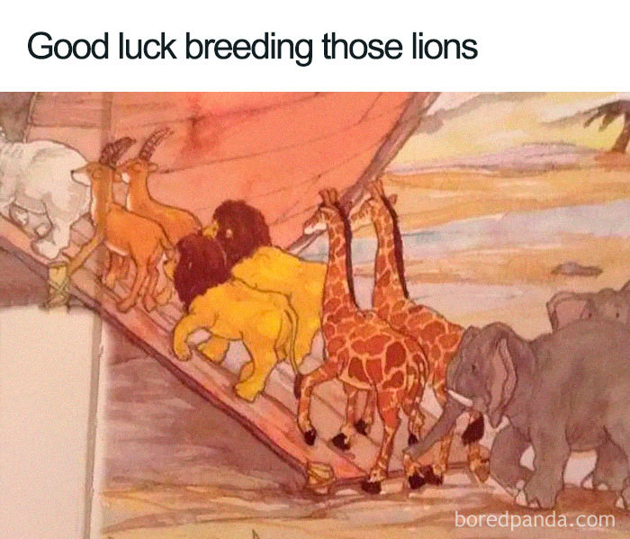 Christian meme with lions and animals boarding an ark, captioned "Good luck breeding those lions."