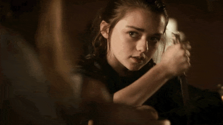 Fans Uncover All The Hidden Hints That Led To THAT Arya Twist