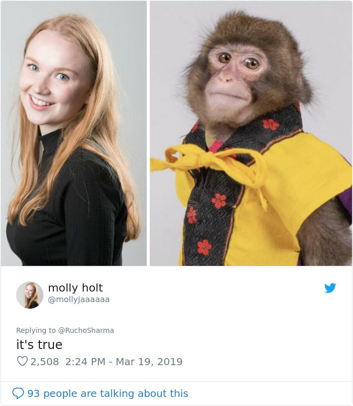 Someone Realizes This Monkey Looks Like Every Journalist And Real Journalists Confirm With 24 Pics Someone Realizes This Monkey Looks Like Every Journalist And Real Journalists Confirm With 24 Pics