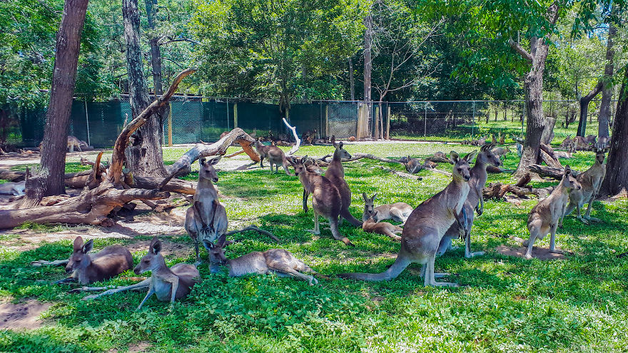 My Road Trip Along The Australian East Coast Part Two - Queensland