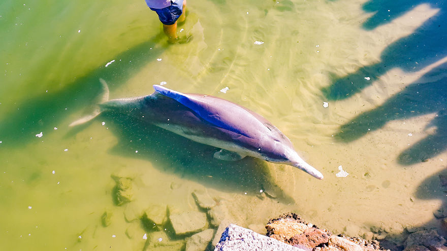 My Road Trip Along The Australian East Coast Part Two - Queensland