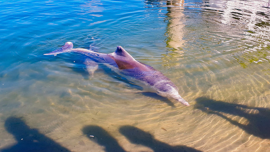 My Road Trip Along The Australian East Coast Part Two - Queensland