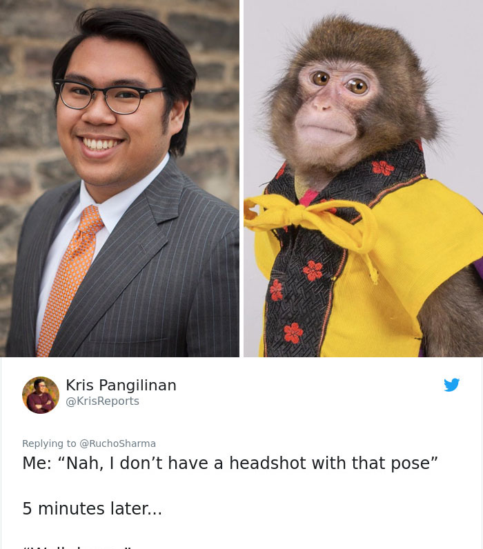 Someone Realizes This Monkey Looks Like Every Journalist And Real Journalists Confirm With 24 Pics