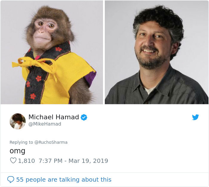 Someone Realizes This Monkey Looks Like Every Journalist And Real Journalists Confirm With 24 Pics Someone Realizes This Monkey Looks Like Every Journalist And Real Journalists Confirm With 24 Pics