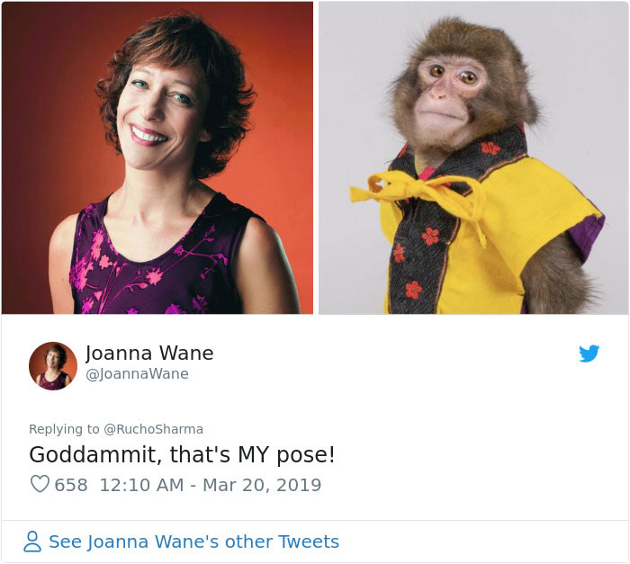 Someone Realizes This Monkey Looks Like Every Journalist And Real Journalists Confirm With 24 Pics Someone Realizes This Monkey Looks Like Every Journalist And Real Journalists Confirm With 24 Pics